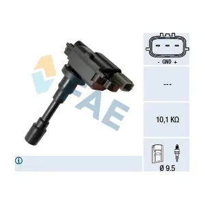 80343 FAE