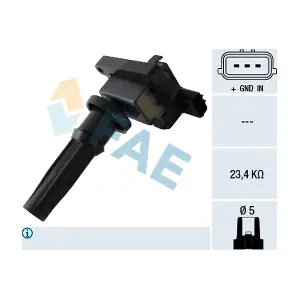 FAE 80316