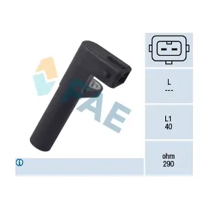 FAE 79095