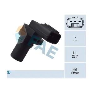 FAE 79139
