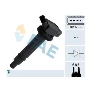 FAE 80301