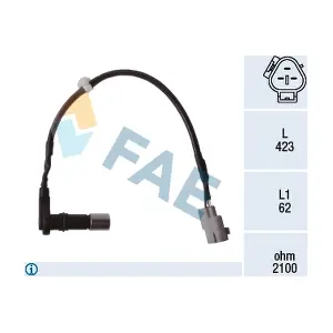 FAE 79532