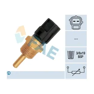FAE 33310