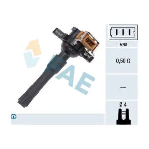 FAE 80216