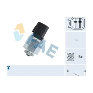 FAE 40595