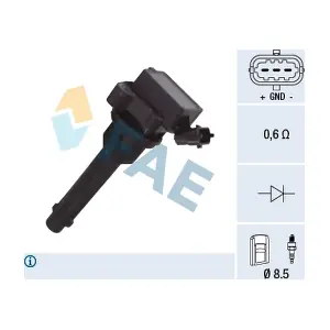 FAE 80369