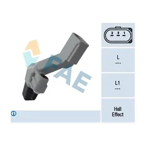 FAE 79177