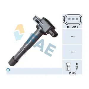 FAE 80348