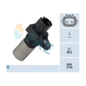 FAE 79160