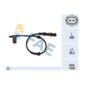 FAE 78077