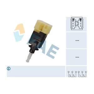 24595 FAE