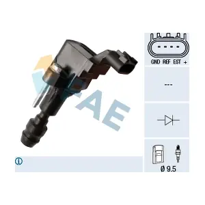 FAE 80329