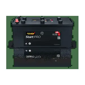 70029 FULMEN