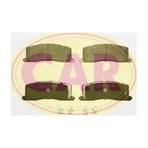 CAR PNT3101