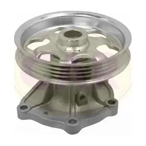 240785 METELLI