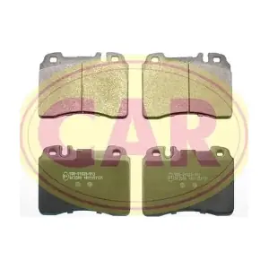 CAR PNT1311