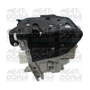 31381 MEAT & DORIA
