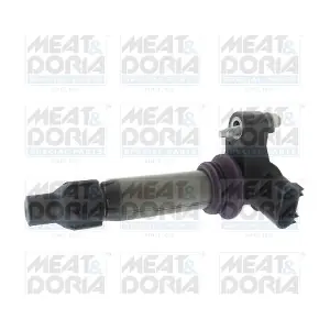 MEAT & DORIA 10813