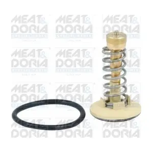 92646 MEAT & DORIA