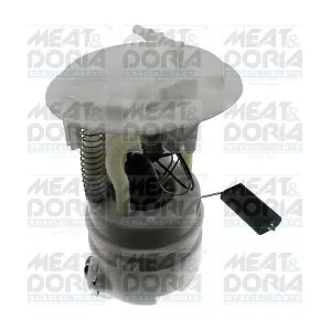 76843 MEAT & DORIA