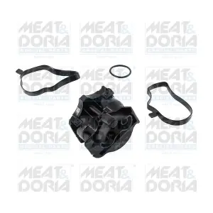 91701 MEAT & DORIA