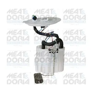 77045 MEAT & DORIA