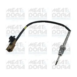 12020E MEAT & DORIA