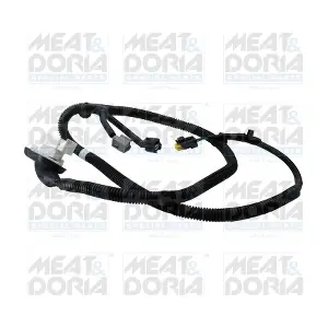 77996 MEAT & DORIA