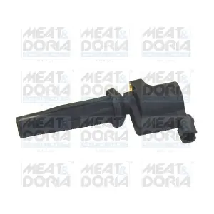 MEAT & DORIA 10479