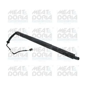 301038 MEAT & DORIA