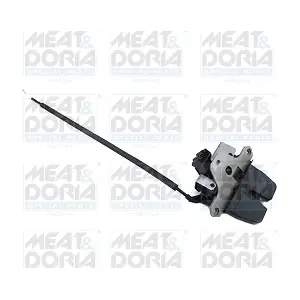 31555 MEAT & DORIA