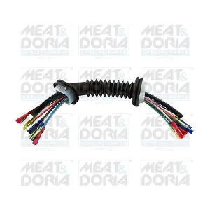 25098 MEAT & DORIA