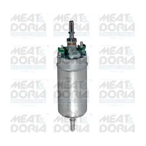 77681 MEAT & DORIA