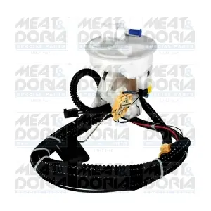 79286 MEAT & DORIA