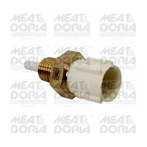 821017 MEAT & DORIA