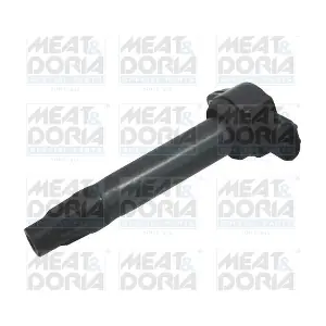 10664 MEAT & DORIA