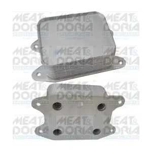 95120 MEAT & DORIA