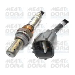MEAT & DORIA 81531