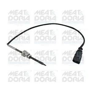 12241 MEAT & DORIA