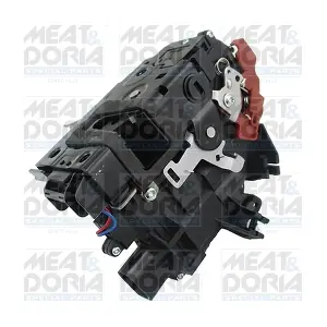 31387 MEAT & DORIA