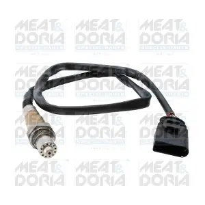 811001E MEAT & DORIA