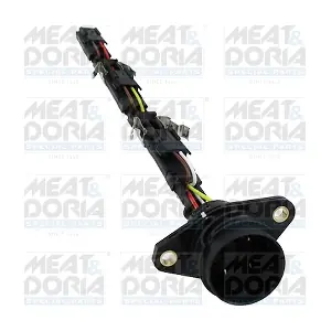 25488 MEAT & DORIA
