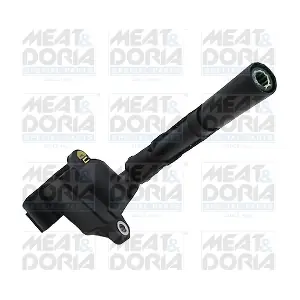 10819 MEAT & DORIA