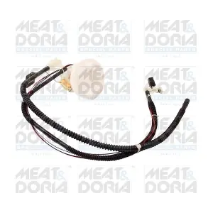 79201 MEAT & DORIA