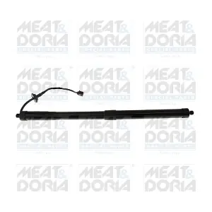 301116 MEAT & DORIA