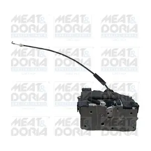 31333 MEAT & DORIA