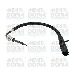 12526 MEAT & DORIA
