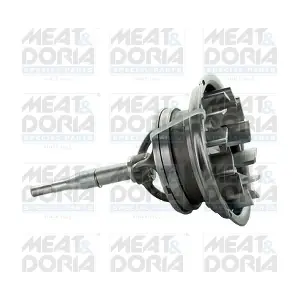 60547 MEAT & DORIA