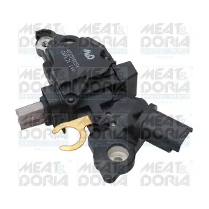 52076 MEAT & DORIA