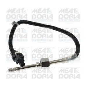 12569 MEAT & DORIA
